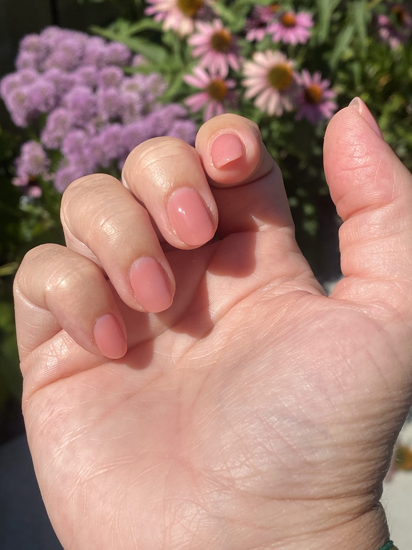 Korte naturel roze nagels, hand voor bloemen